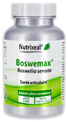  Boswellia serrata concentré en acides boswelliques et en AKBA